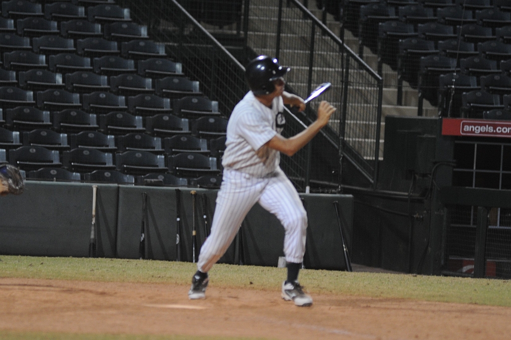 Seals_2019-10-06 (825).JPG - (c)2010 DeVetter